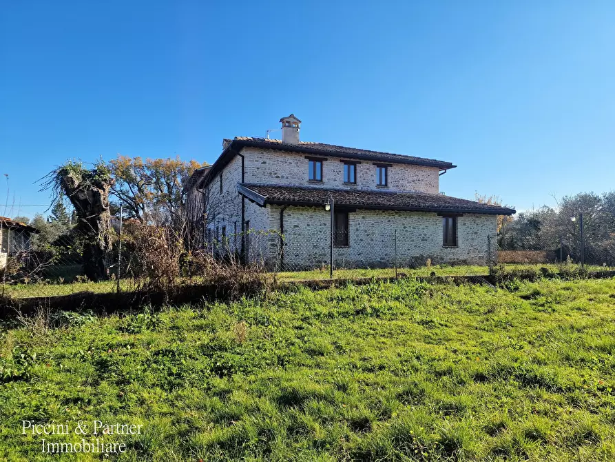 Immagine 81 di Agriturismo in vendita  in Località San Lorenzo a Castel Ritaldi
