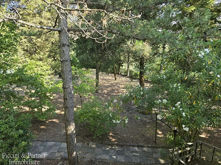 Immagine 61 di Baita in vendita  in Via dei Cespugli 10 a Passignano Sul Trasimeno