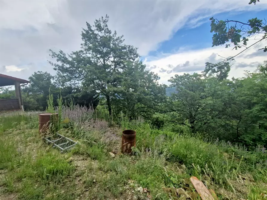 Immagine 24 di Terreno agricolo in vendita  in Racchiusole a Umbertide