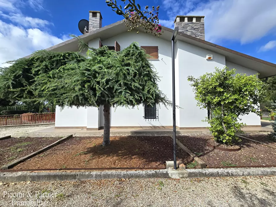 Immagine 6 di Villa in vendita  in Località Bertoni a Castiglione Del Lago