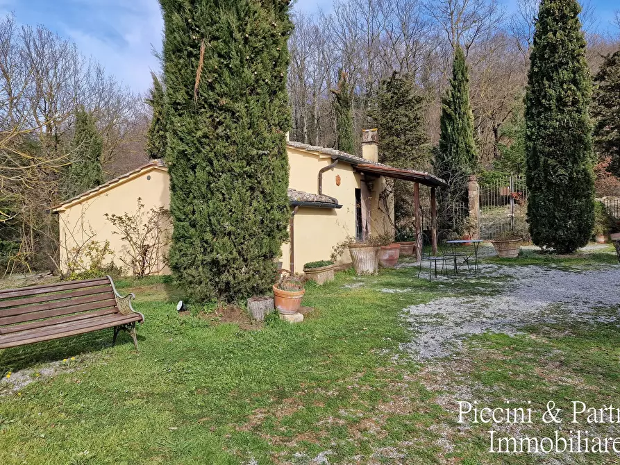 Immagine 46 di Rustico / casale in vendita  a Sarteano