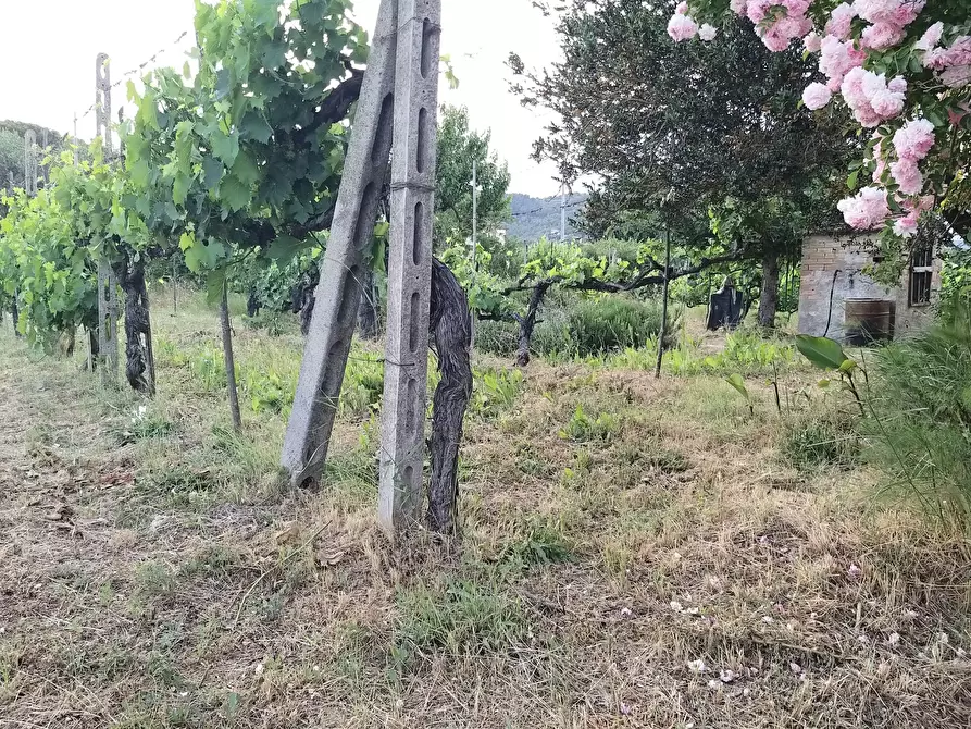 Immagine 32 di Rustico / casale in vendita  in Via Caserino a Magione