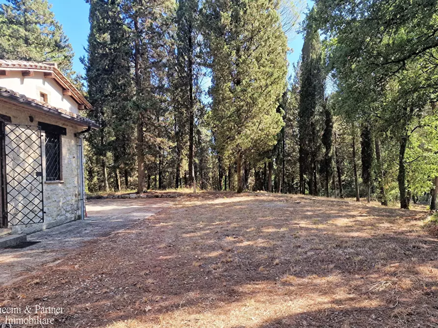 Immagine 3 di Rustico / casale in vendita  in Ex S. Maria a Umbertide