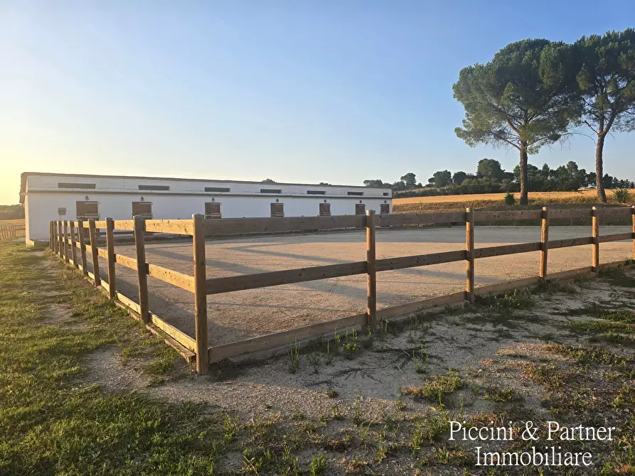 Immagine 58 di Rustico / casale in vendita  in Strada Settevalli 27 a Marsciano