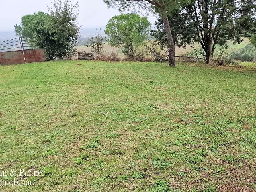 Immagine 62 di Rustico / casale in vendita  in Località Guidonami a Castiglione Del Lago