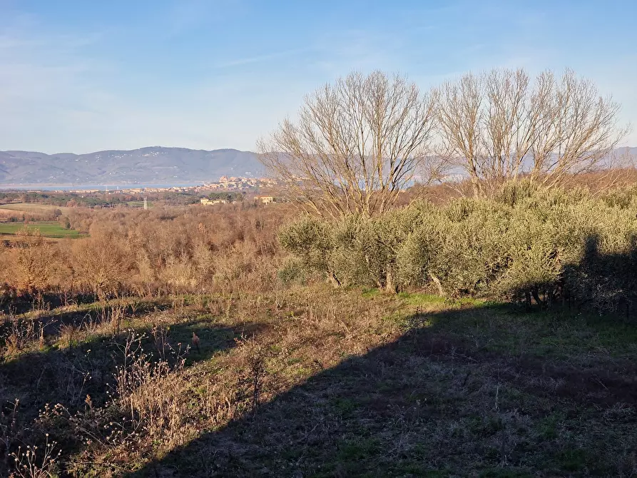 Immagine 35 di Casa bifamiliare in vendita  in Via San Biagio a Castiglione Del Lago
