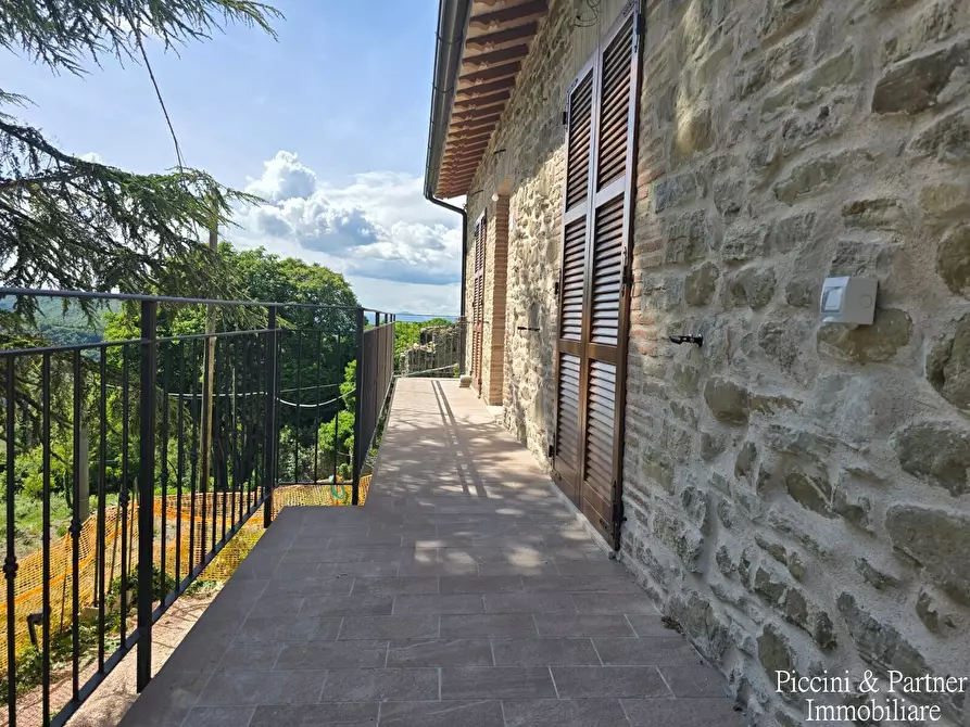 Immagine 17 di Rustico / casale in vendita  a Assisi