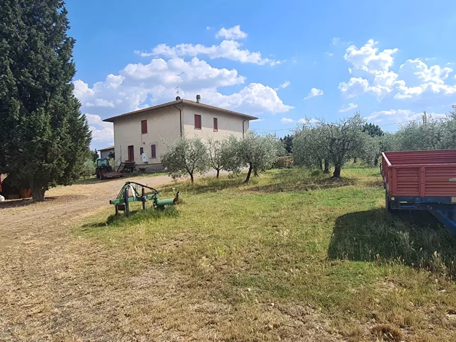 Immagine 2 di Terreno agricolo in vendita  in Via Ascianello a Montepulciano