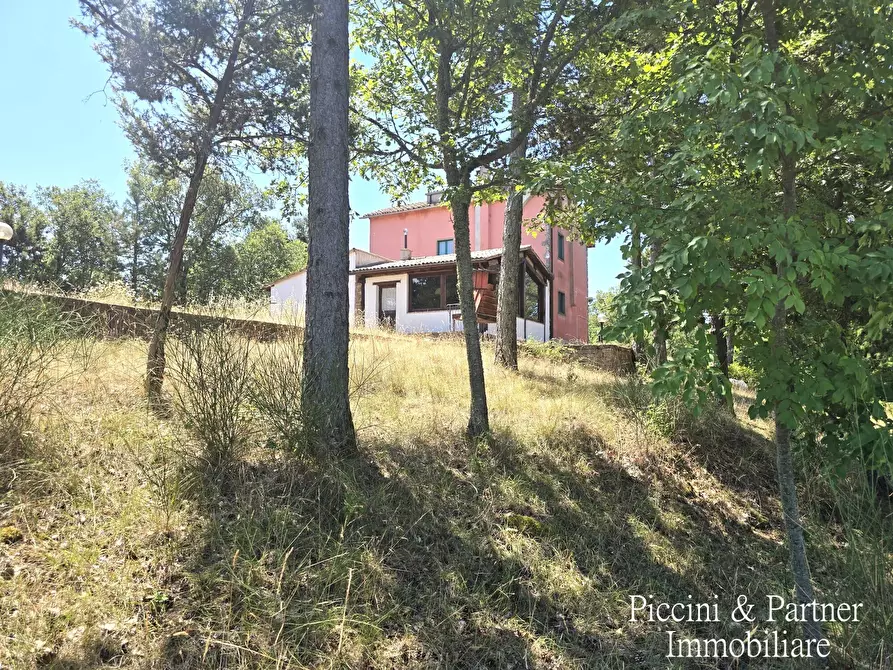 Immagine 6 di Villa in vendita  in Vocabolo Fiatello a San Venanzo
