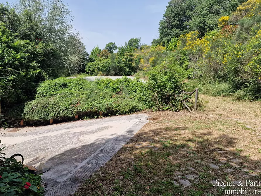 Immagine 78 di Baita in vendita  in Via dei Cespugli 10 a Passignano Sul Trasimeno