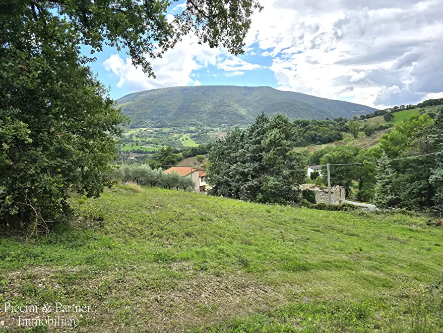 Immagine 6 di Rustico / casale in vendita  in SR 444 Pian della Pieve a Assisi