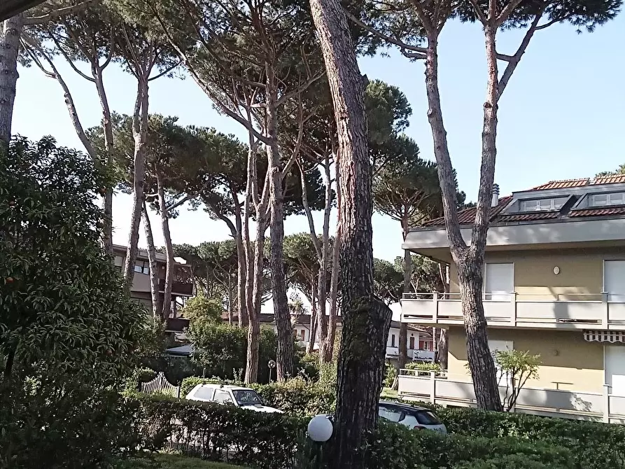 Immagine 2 di Quadrilocale in vendita  in Via Montecatini a Massa