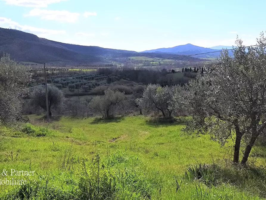 Immagine 22 di Porzione di casa in vendita  in Via dei Mandorli 49 a Panicale