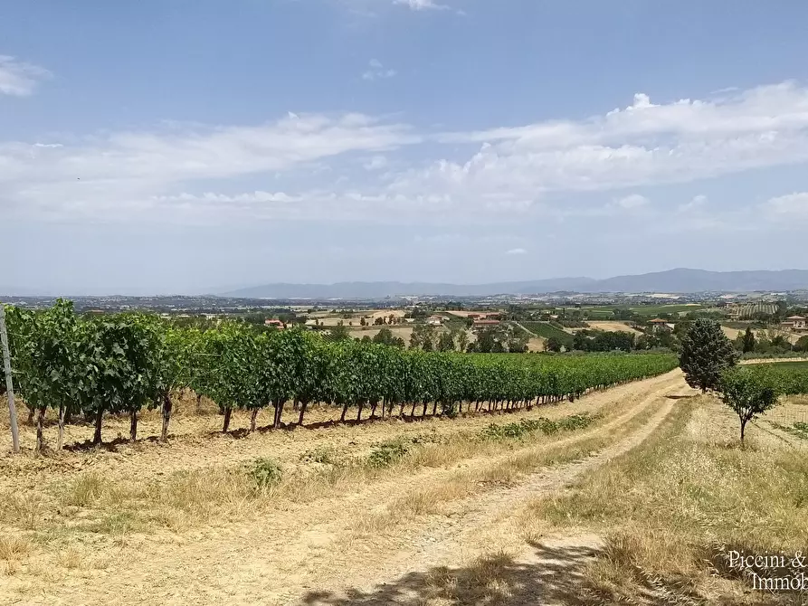 Immagine 4 di Terreno agricolo in vendita  in Via Ascianello a Montepulciano