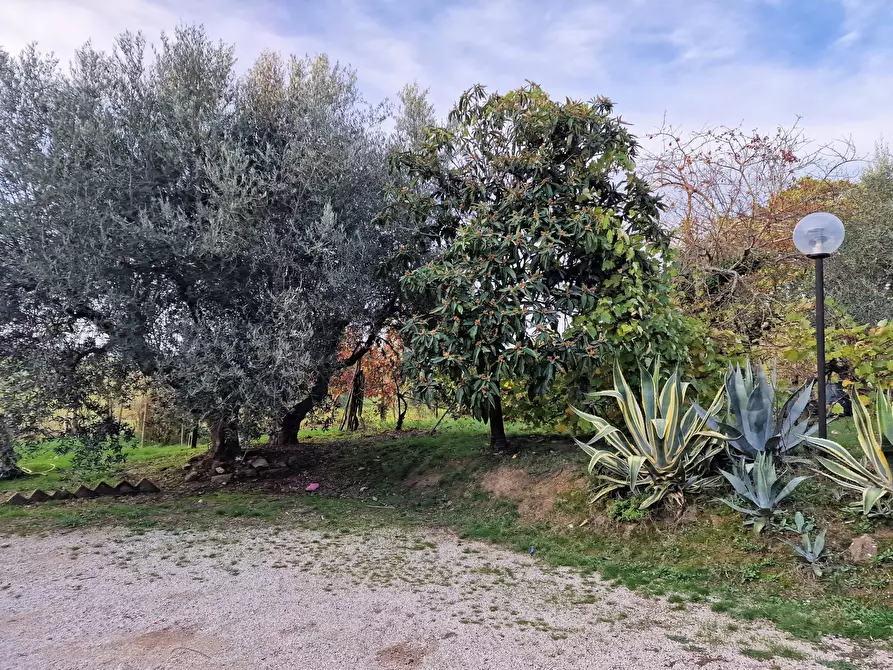 Immagine 35 di Rustico / casale in vendita  in Vocabolo Mercato Alto a Paciano