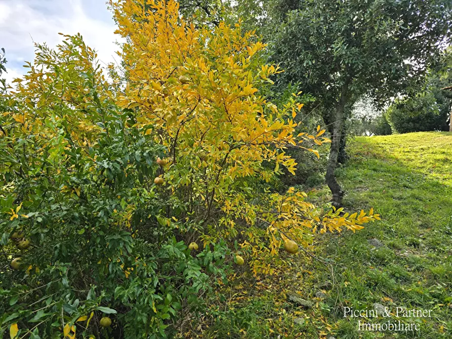 Immagine 75 di Rustico / casale in vendita  in Vocabolo Coccimignolo 36 a Marsciano