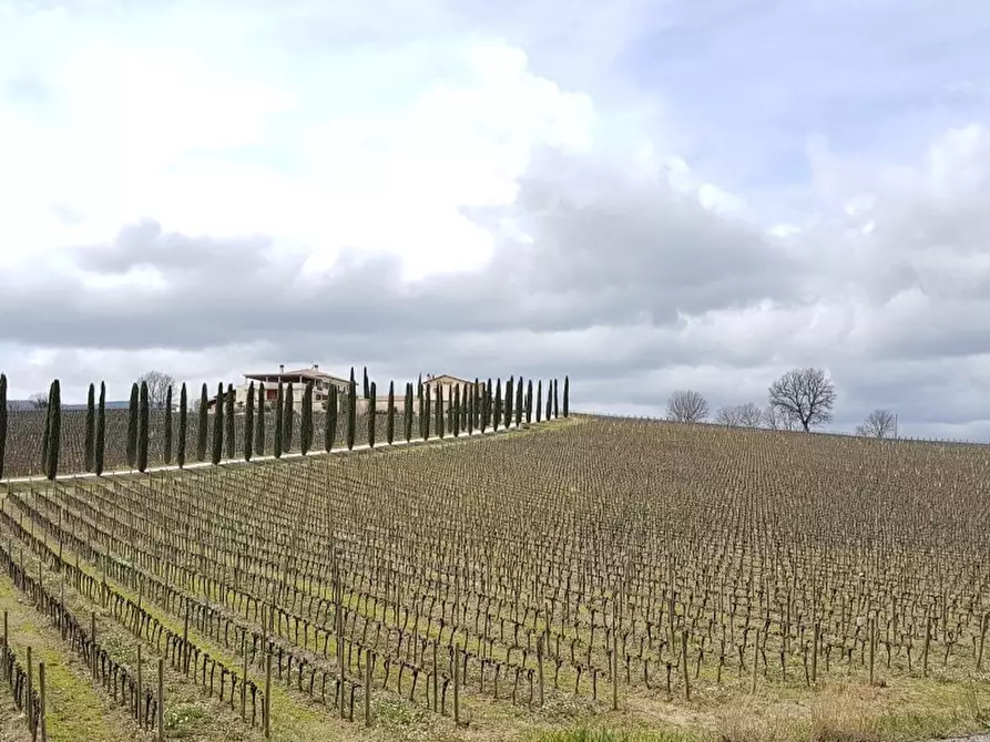 Immagine 37 di Rustico / casale in vendita  in Via Buglicheto 2 a Bevagna