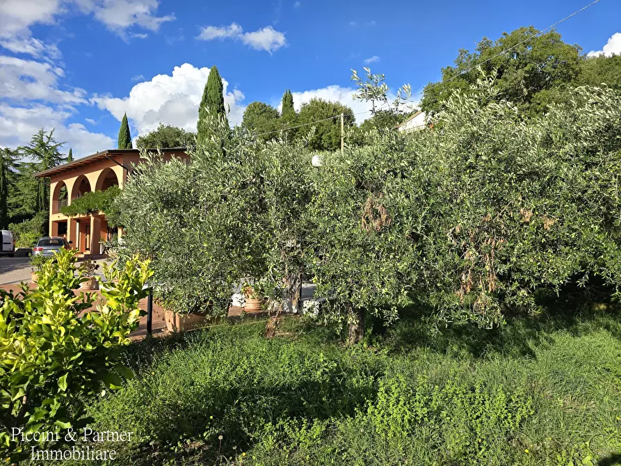 Immagine 6 di Villa in vendita  in Via dei Romani a Magione