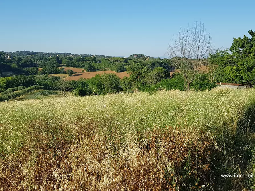 Immagine 3 di Terreno agricolo in vendita  a Perugia