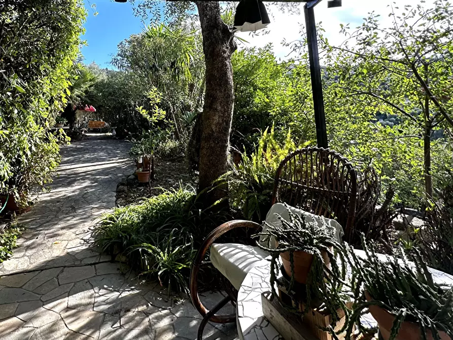 Immagine 30 di Rustico / casale in vendita  in via Glori 36 a Diano San Pietro