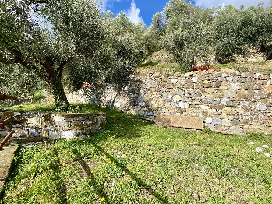 Immagine 12 di Villa in vendita  in Via F. Cascione 31 a Villa Faraldi