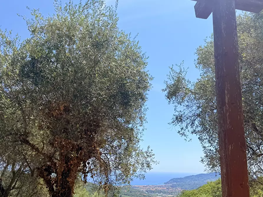 Immagine 23 di Villa in vendita  in Strada Interpoderale Moltedo - Ciai 13 a Diano San Pietro