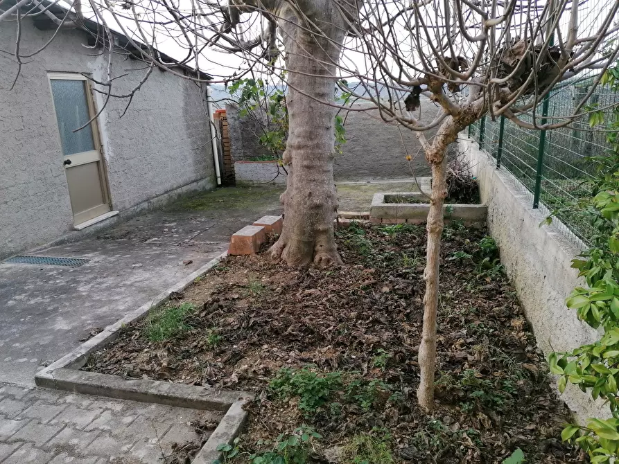 Immagine 5 di Terratetto in vendita  in Via Moscete 10 a Castel Frentano