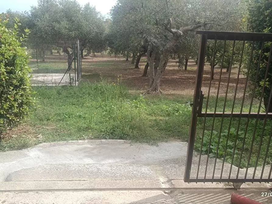 Immagine 49 di Casa indipendente in vendita  in contrada follani 260 a Lanciano