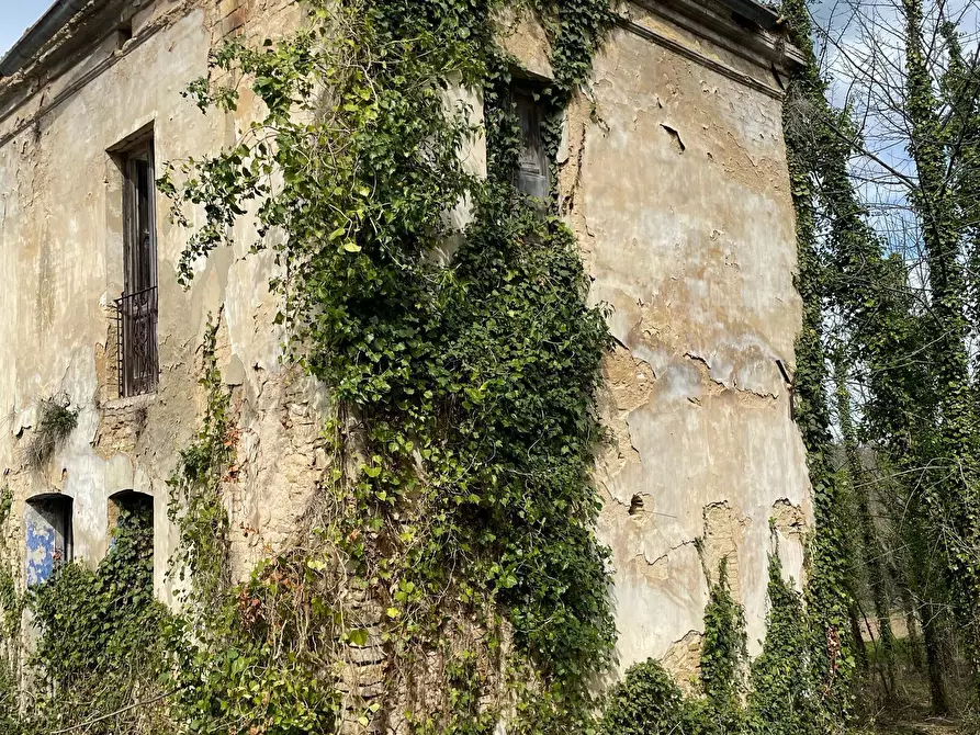 Immagine 43 di Rustico / casale in vendita  in C.DA CASTELLANA a Treglio