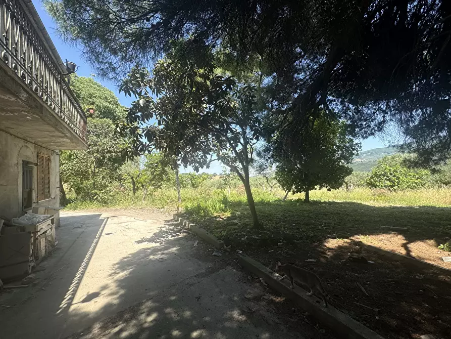 Immagine 35 di Casa semindipendente in vendita  in Via Lascianna 9 a Roccascalegna