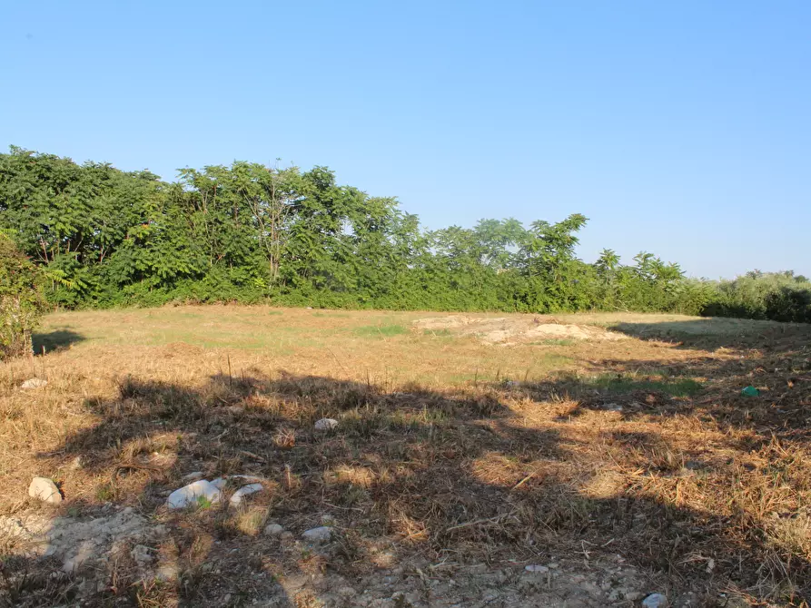Immagine 3 di Terreno industriale in vendita  in Marcianese a Lanciano