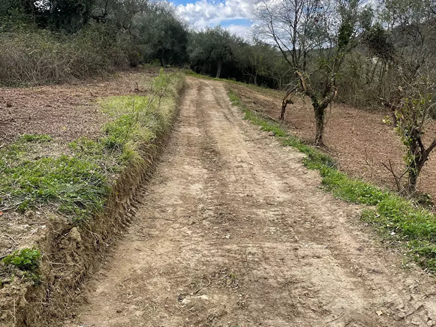 Immagine 16 di Rustico / casale in vendita  in C.DA CASTELLANA a Treglio