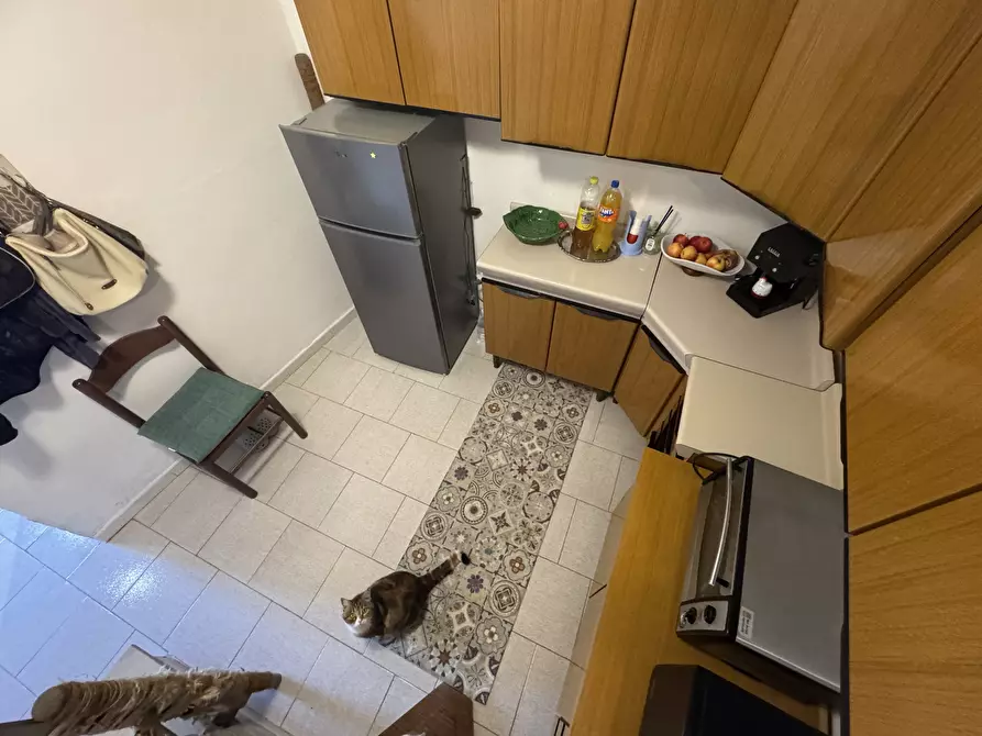 Immagine 37 di Terratetto in vendita  a San Buono