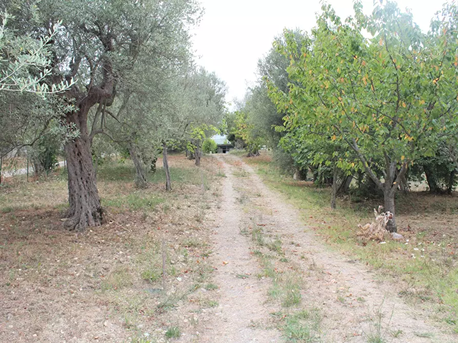 Immagine 22 di Casa indipendente in vendita  in Contrada Santa Maria dei Mesi 18 a Lanciano