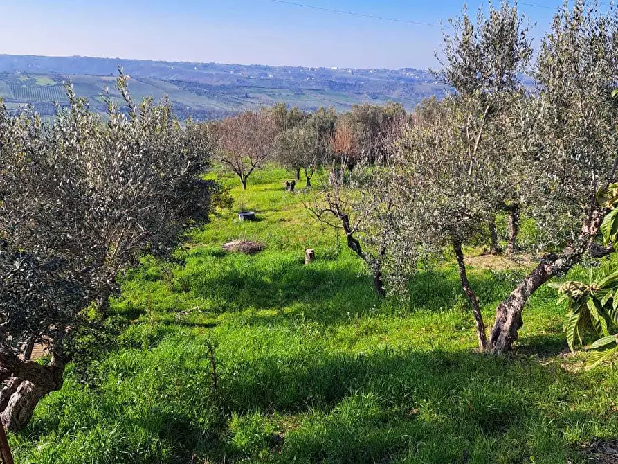 Immagine 39 di Quadrilocale in vendita  in Via Moscete 31 a Castel Frentano