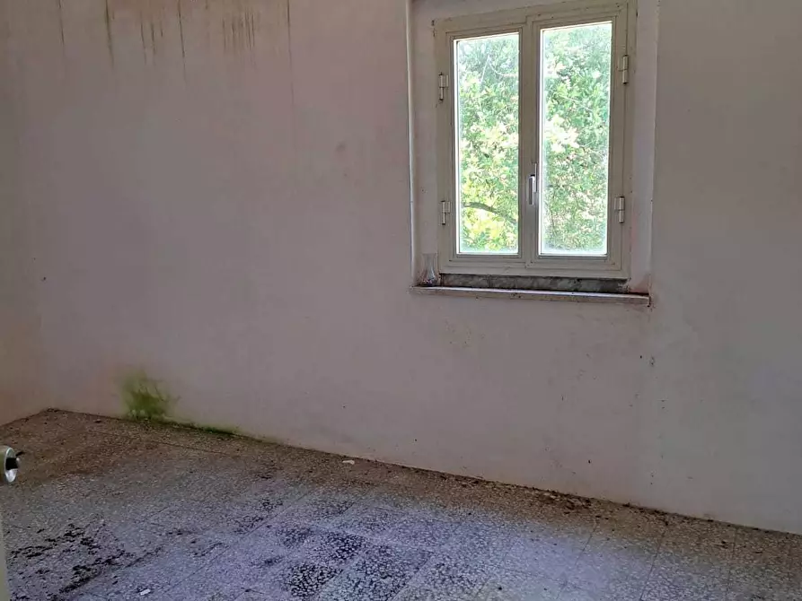 Immagine 17 di Rustico / casale in vendita  in STRADA P. MEDIANA 51 a Fossacesia