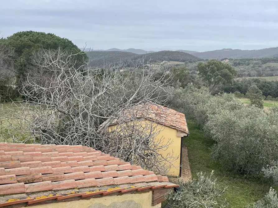 Immagine 32 di Rustico / casale in vendita  in Via della Sassetta a Castagneto Carducci