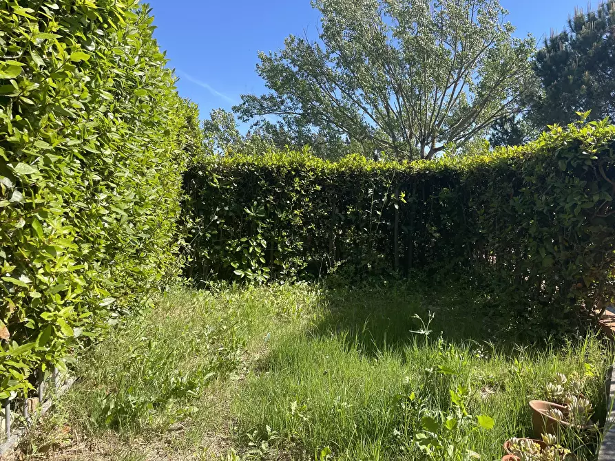 Immagine 2 di Casa indipendente in vendita  in Via dei Tre Comuni a Montescudaio