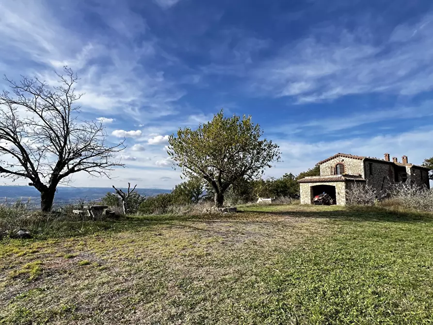 Immagine 96 di Rustico / casale in vendita  in Vocabolo Pupiglian 1 a Guardea