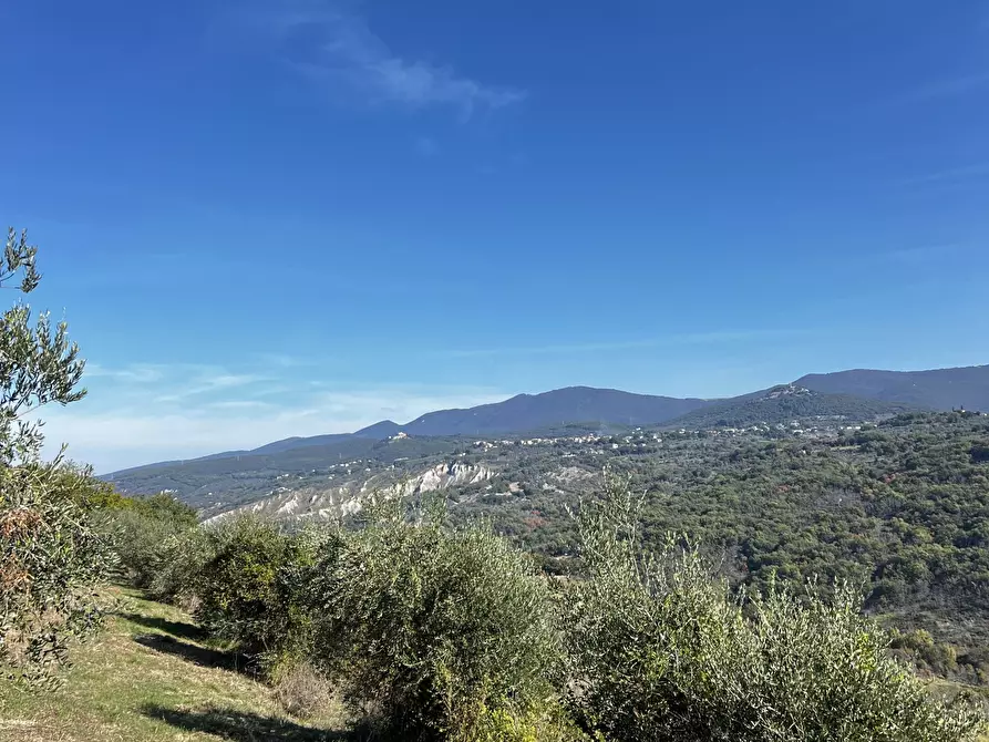 Immagine 87 di Rustico / casale in vendita  in Vocabolo Pupiglian 1 a Guardea