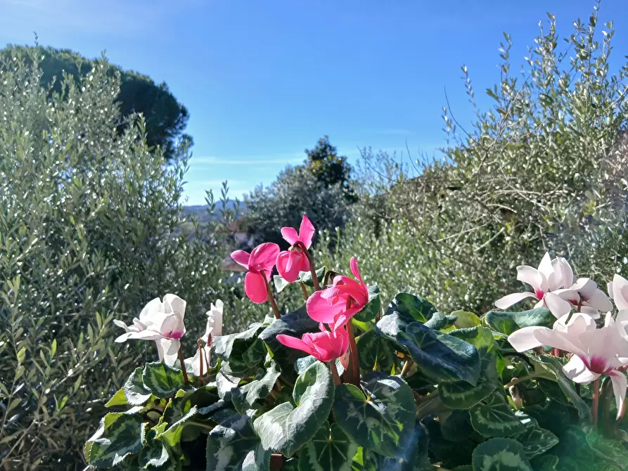 Immagine 51 di Trilocale in vendita  in Via Vittorio Alfieri 10 a Morlupo