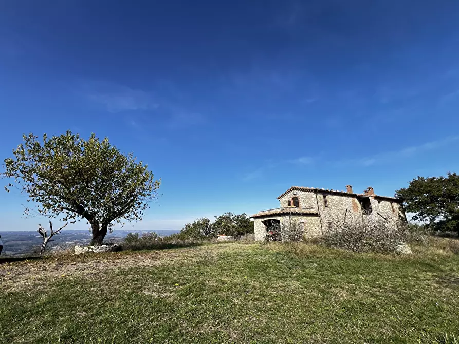 Immagine 44 di Rustico / casale in vendita  in Vocabolo Pupiglian 1 a Guardea