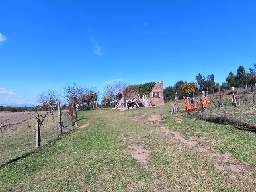 Immagine 29 di Villa in vendita  in Strada Comunale Campo Maggiore 10 a Rignano Flaminio