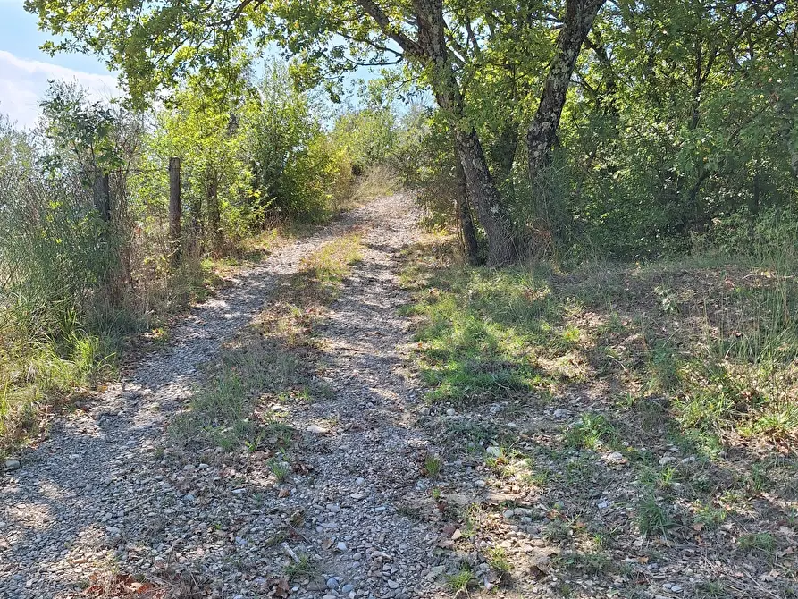 Immagine 71 di Rustico / casale in vendita  in Vocabolo Pupiglian 1 a Guardea