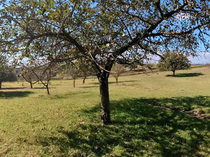 Immagine 24 di Villa in vendita  in Strada Comunale Campo Maggiore 10 a Rignano Flaminio