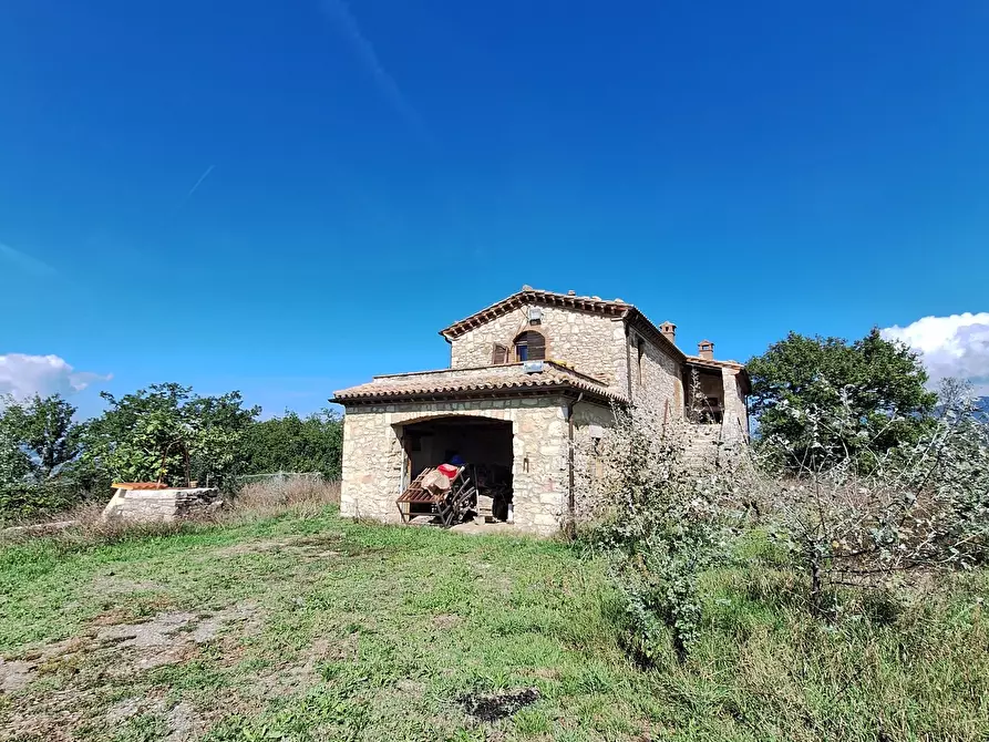 Immagine 29 di Rustico / casale in vendita  in Vocabolo Pupiglian 1 a Guardea
