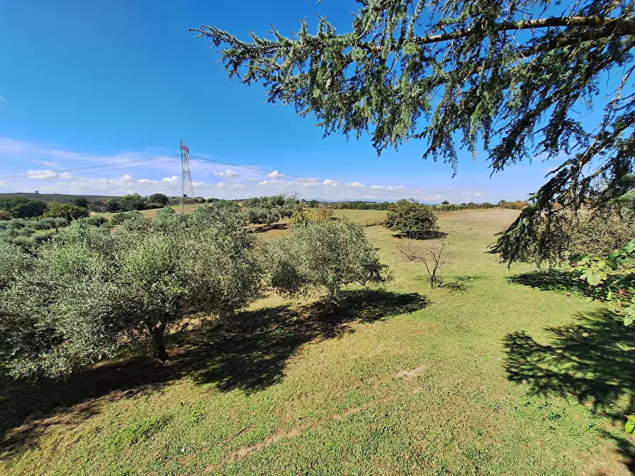 Immagine 42 di Villa in vendita  in Strada Comunale Campo Maggiore 10 a Rignano Flaminio