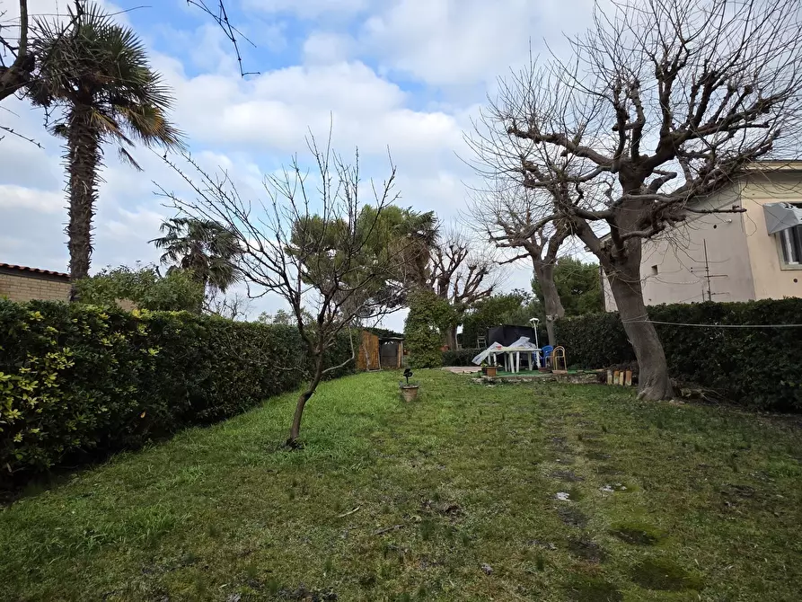 Immagine 43 di Casa indipendente in vendita  in Via Giacomo Matteotti 10 a Numana