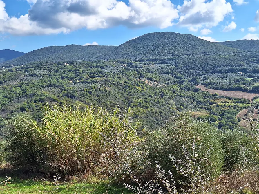 Immagine 64 di Rustico / casale in vendita  in Vocabolo Pupiglian 1 a Guardea