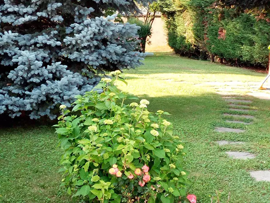 Immagine 69 di Casa bifamiliare in vendita  in Via Lombardore 243 a Ciriè